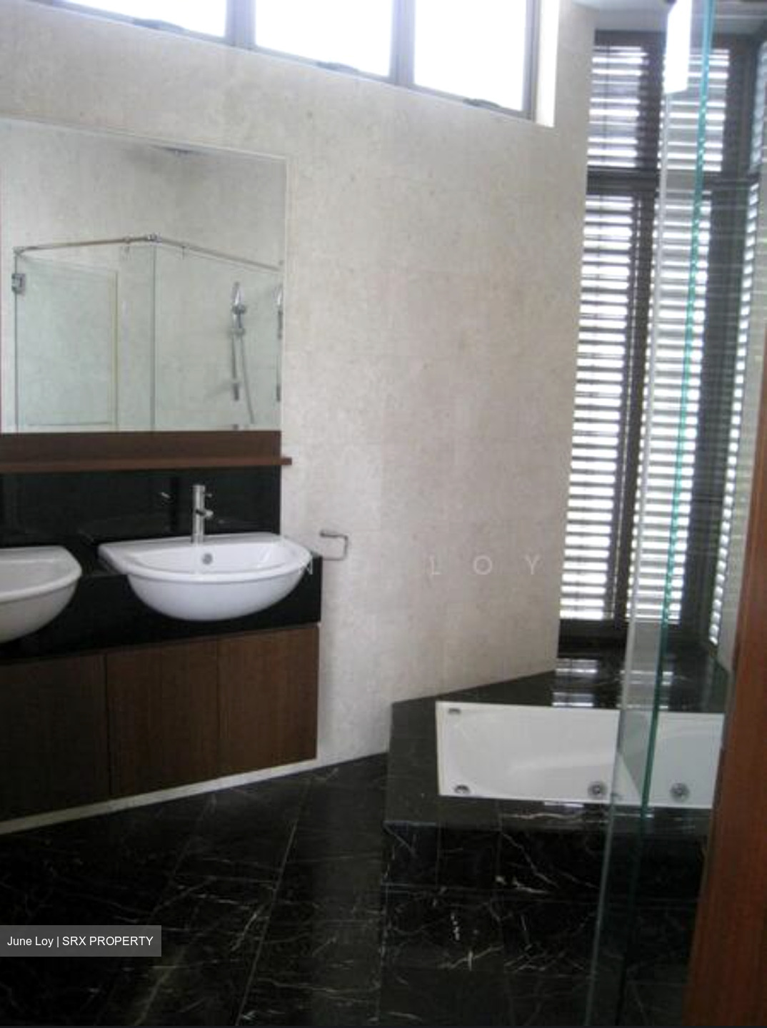 Dunearn Road (D11), Condominium #631465421